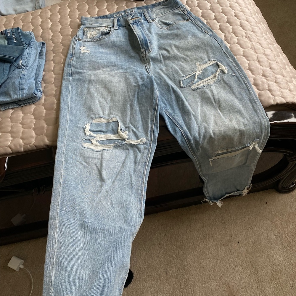Distressed Curvy Mom Jean AE